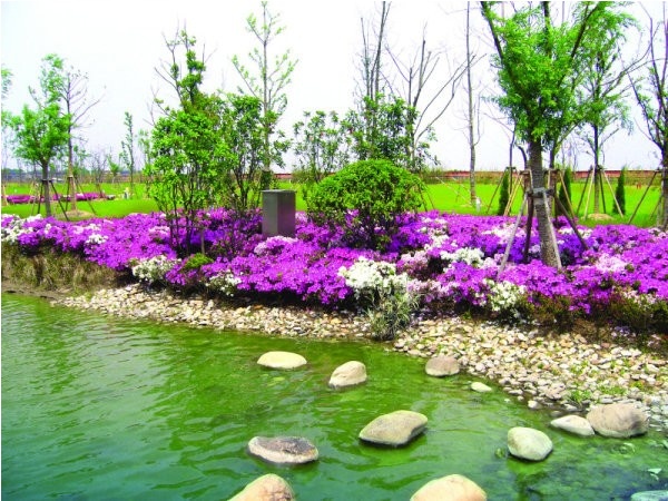 �@�^(q��)�L(f��ng)��